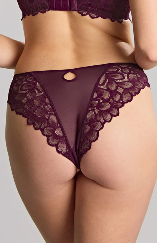 Panache Allure Brazilian Brief - Plum - alternate view
