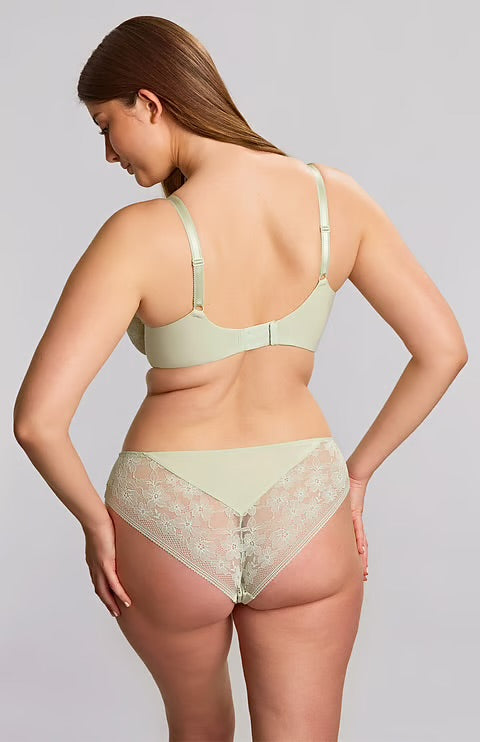 Panache Celeste Brazilian Brief - Pistachio