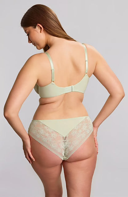 Panache Celeste Brazilian Brief - Pistachio