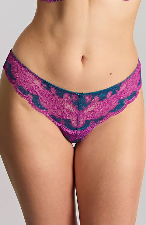 Clara Thong - Teal/Magenta