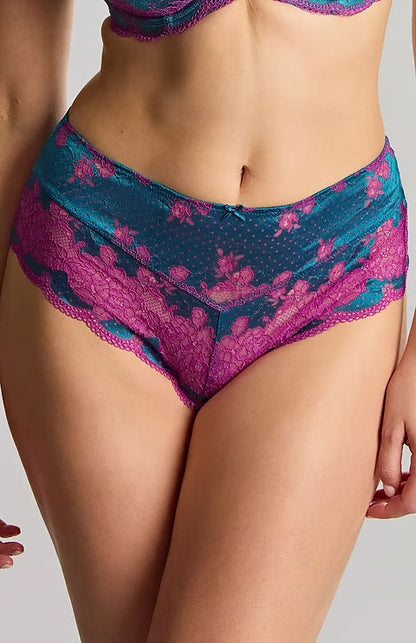 Panache - Clara - Deep Brief - Teal / Magenta
