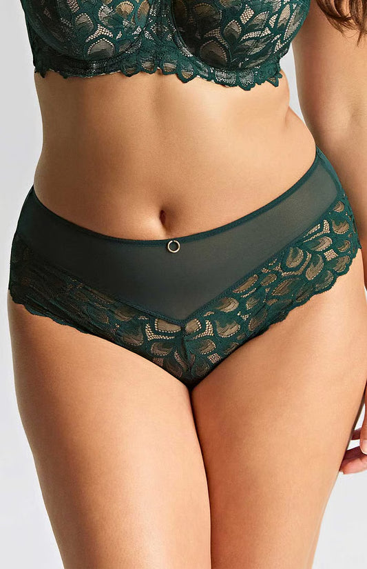 Panache Allure Deep Forest Green Brief